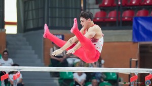 gam sfe07844 copia simone ferraro ph